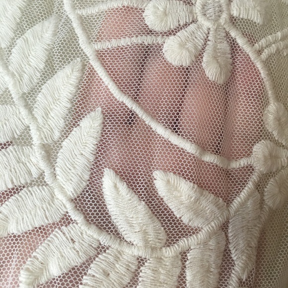 Express Cream Cap Sleeve Sheer Lace Top - Picture 9 of 10